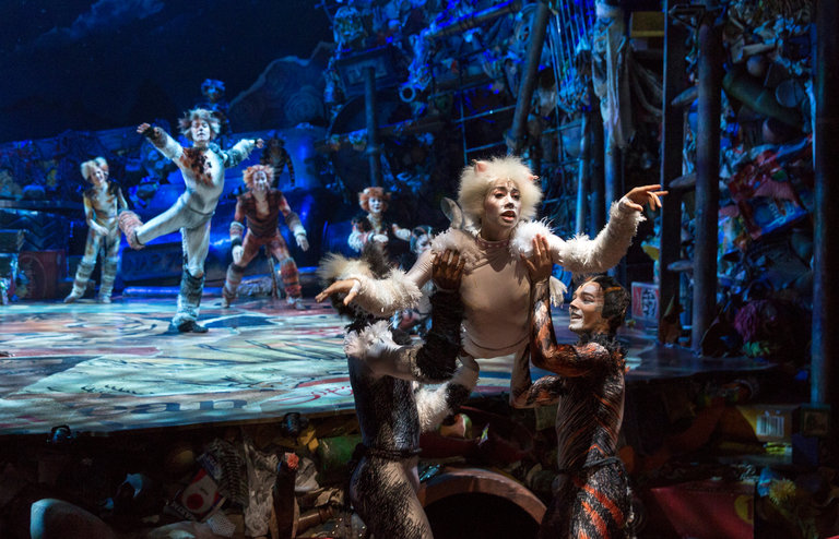 The Reviews for CATS Are In…